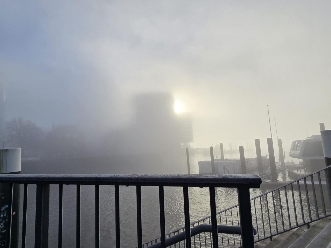 signal-2025-12-28-121744_004